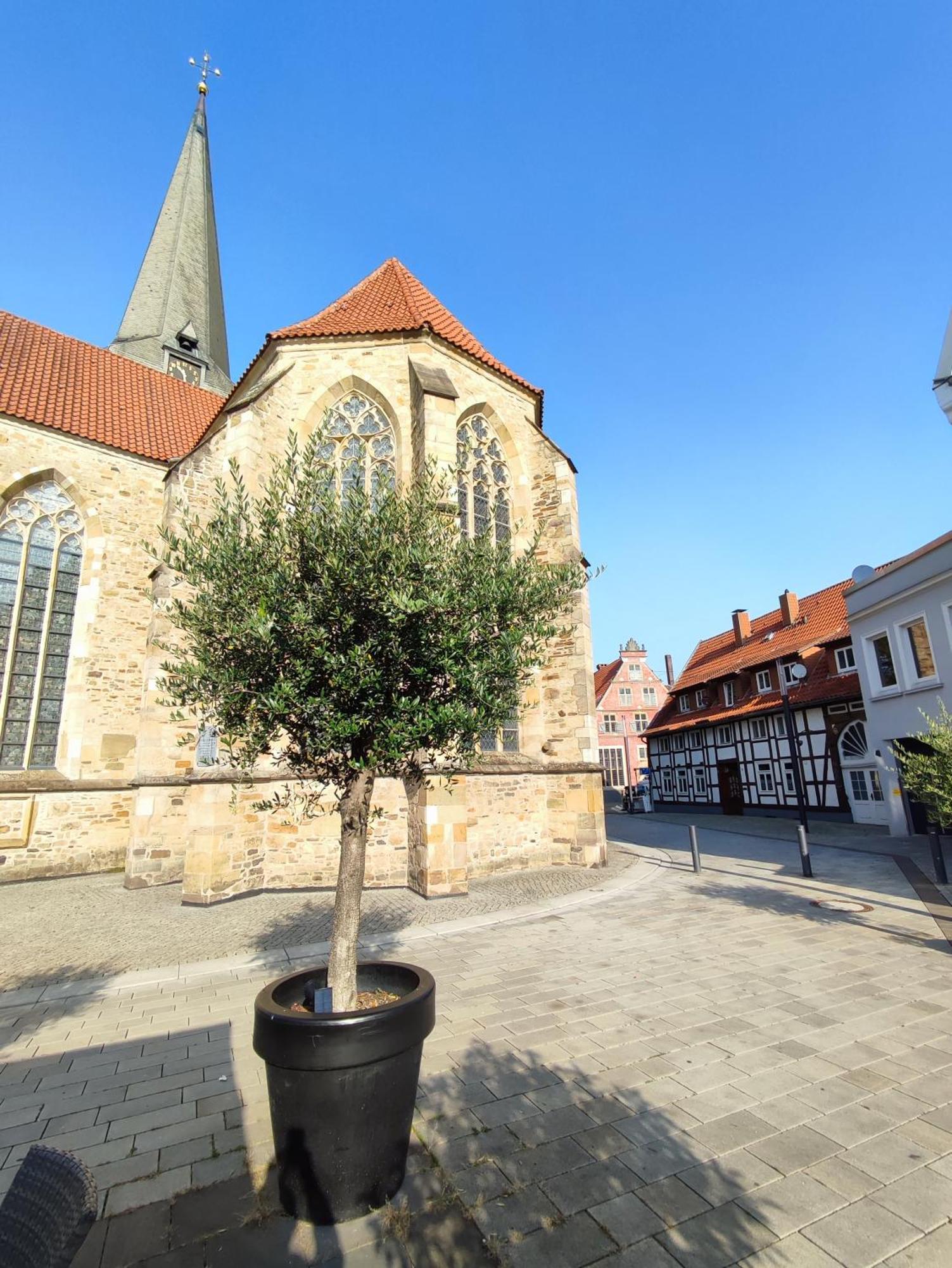 'Bright 1' Innenstadtlage, Ruhige, Schoene, Helle 3Zkb Wlan Herford Exterior foto
